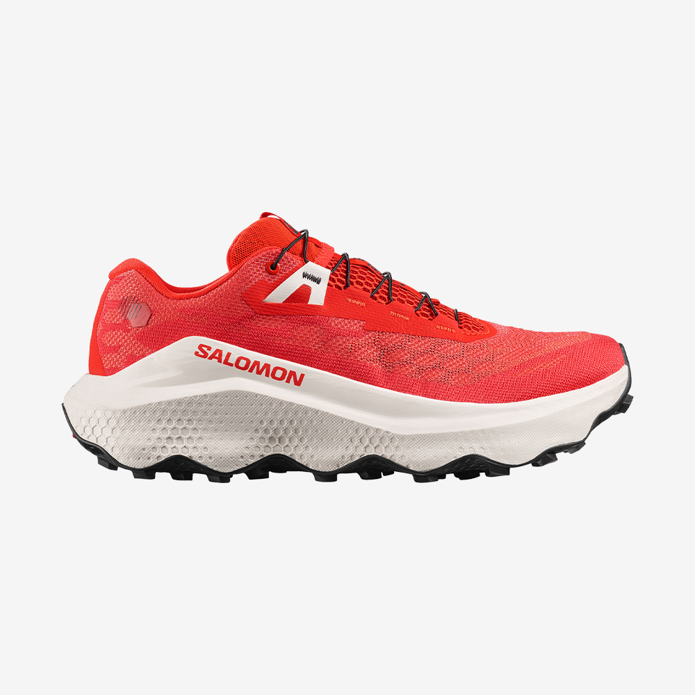 #Color_Rojo