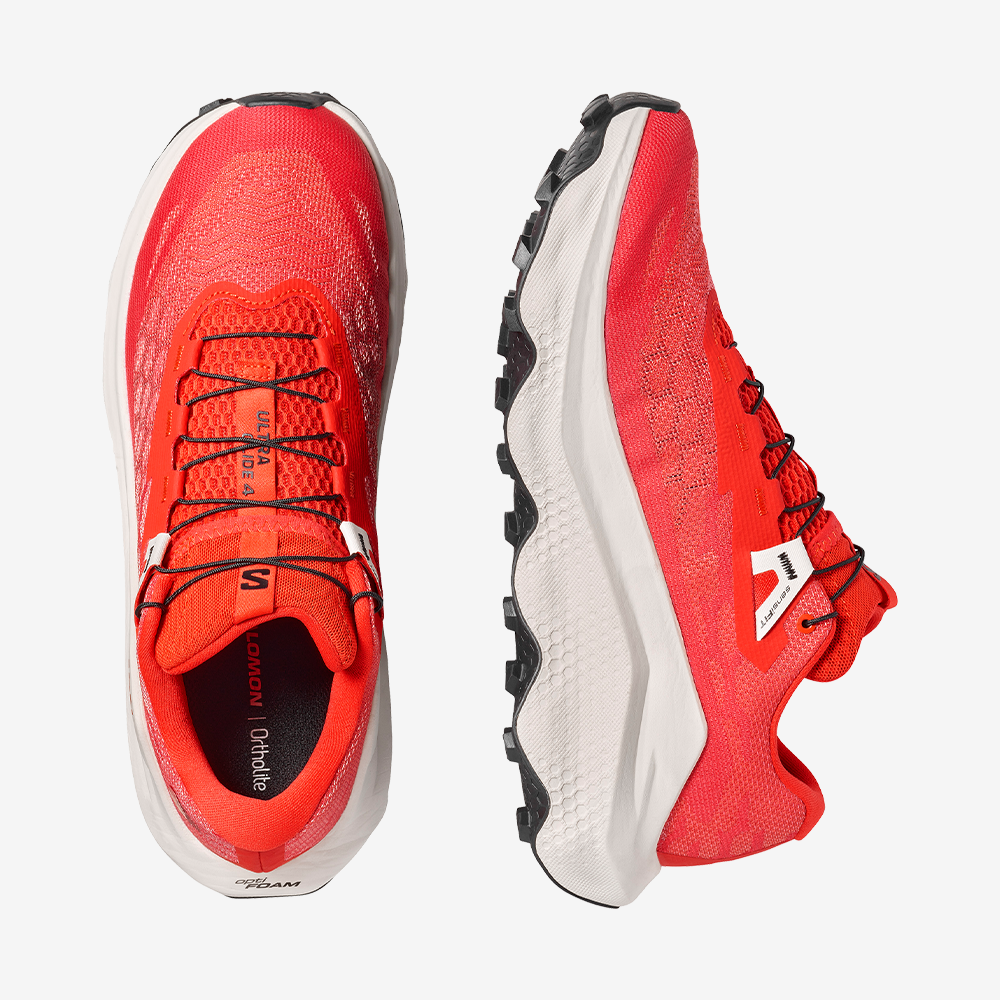 #Color_Rojo