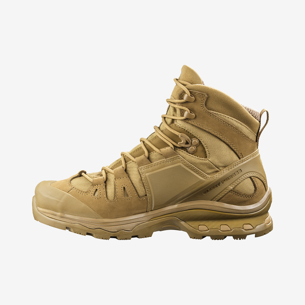 #Color_Marrón Claro