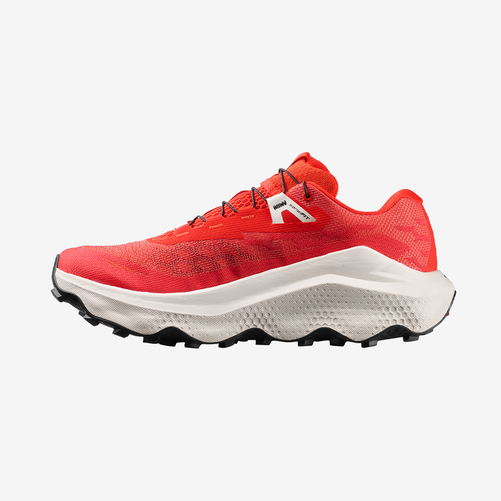 #Color_Rojo