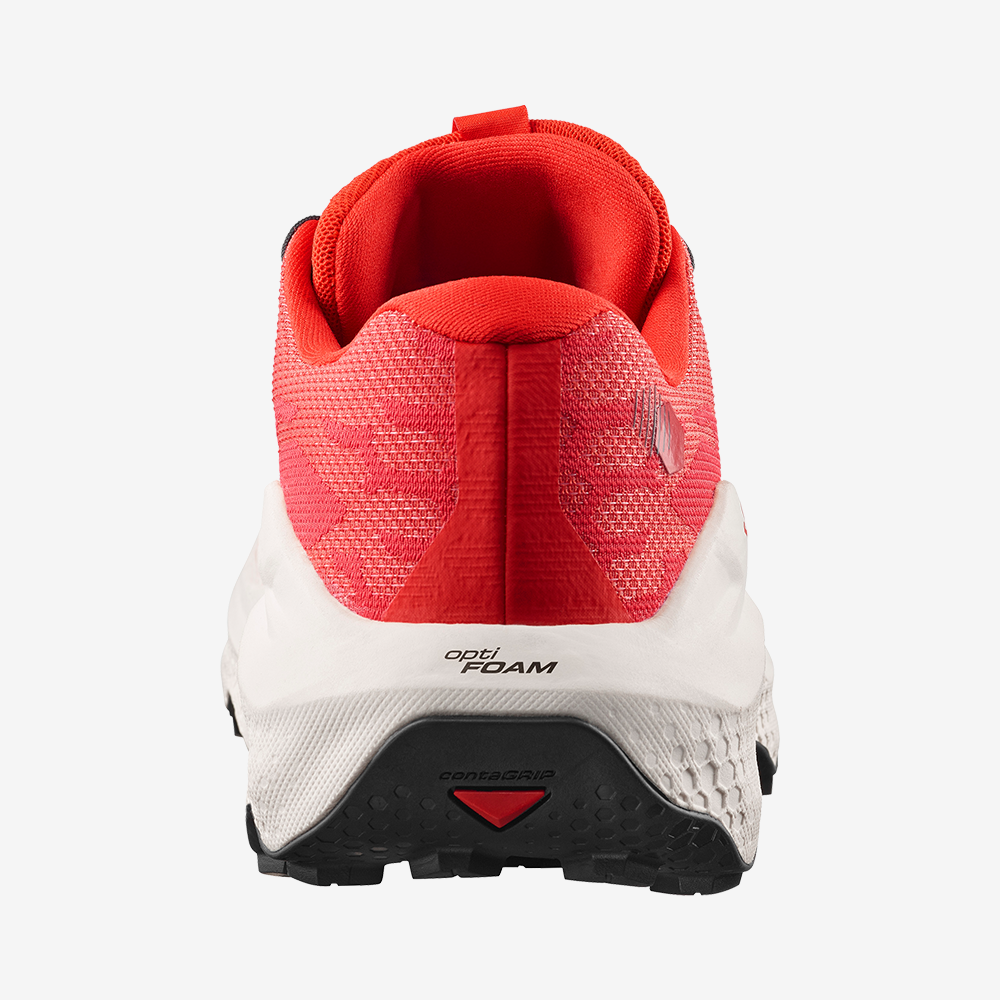 #Color_Rojo