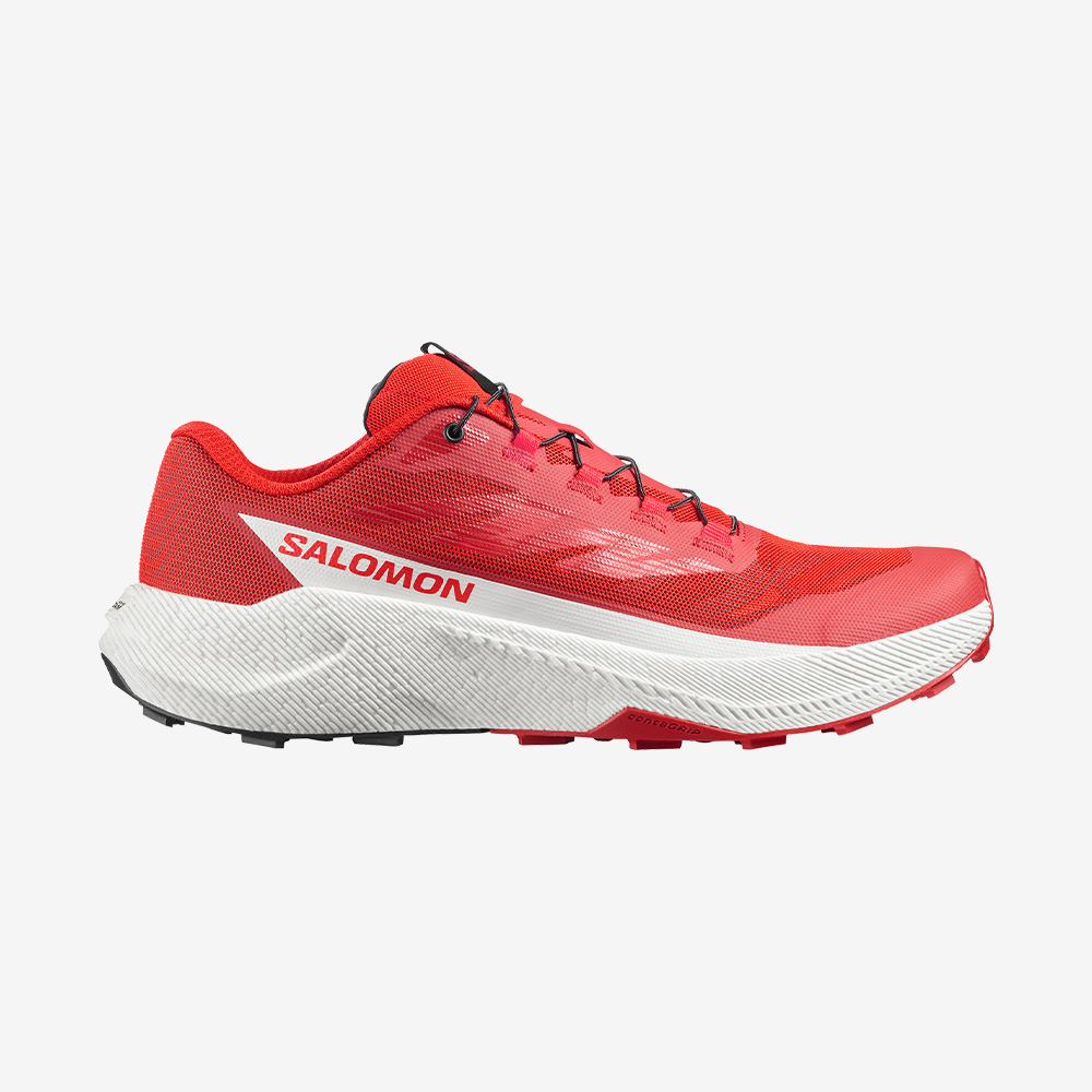 #Color_Rojo