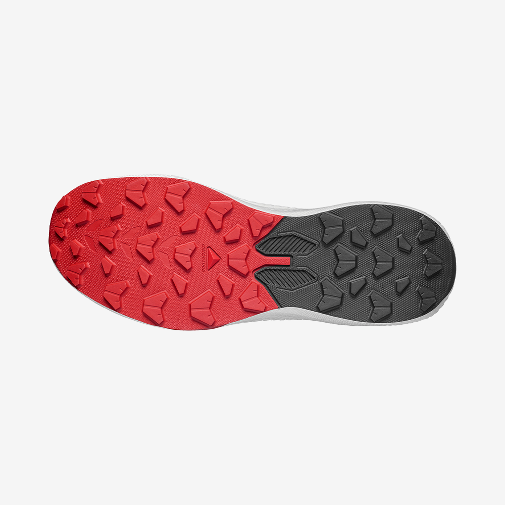 #Color_Rojo