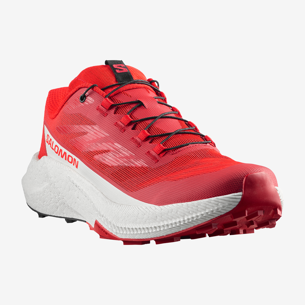 #Color_Rojo