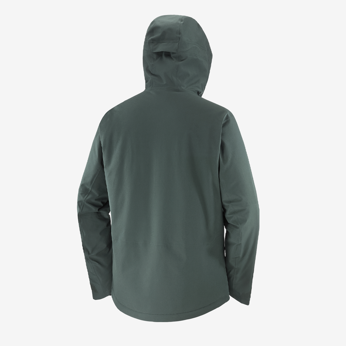 #Color_Verde