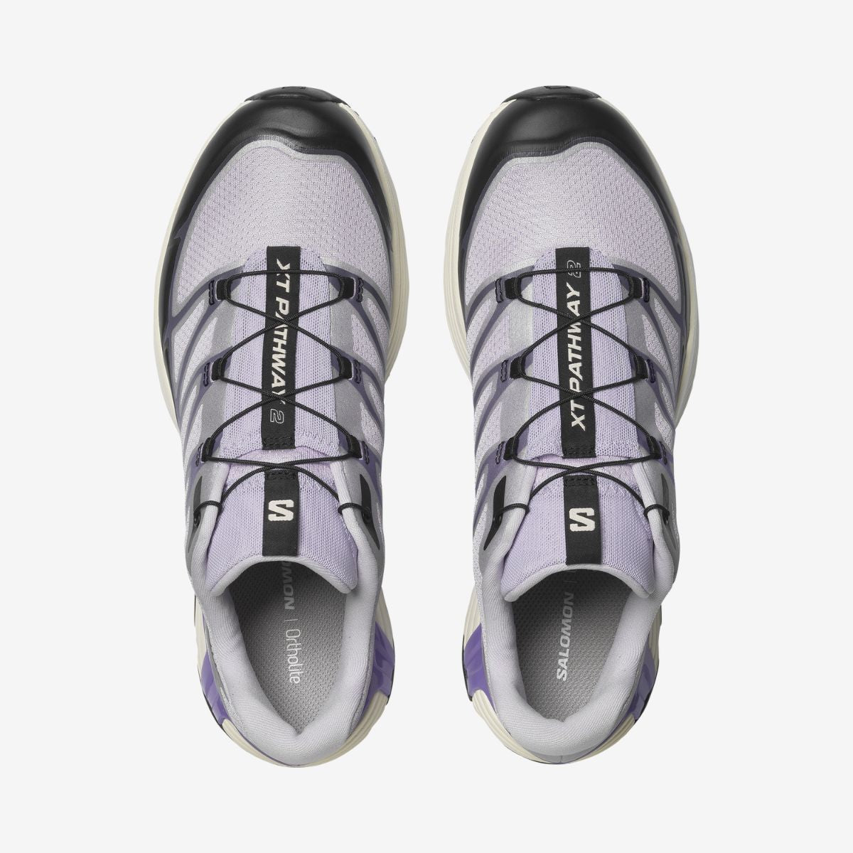 #Color_Violeta