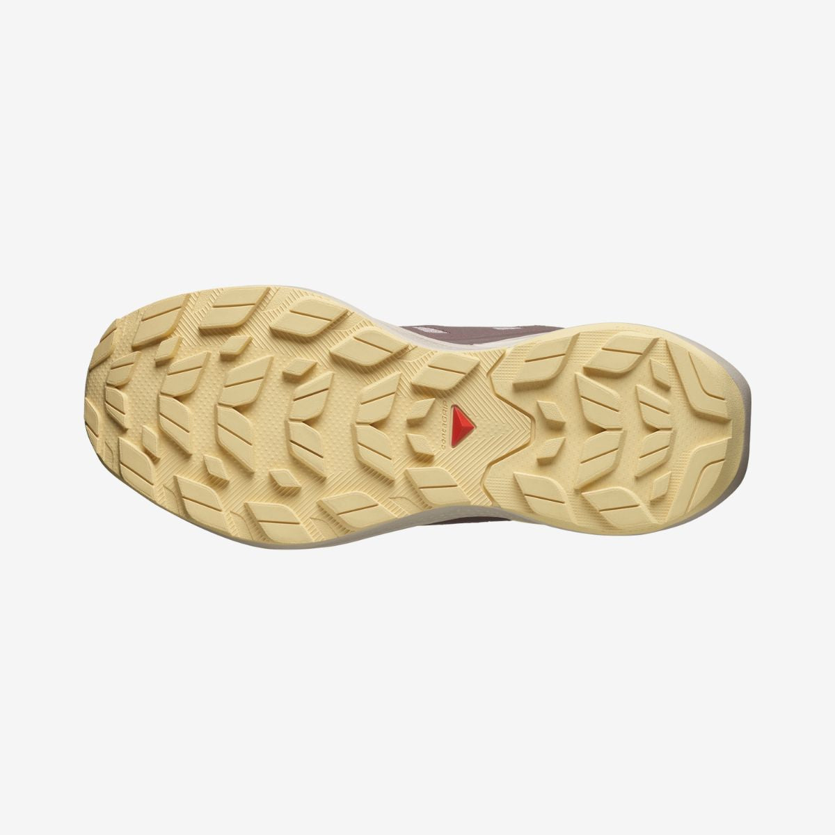#Color_Beige