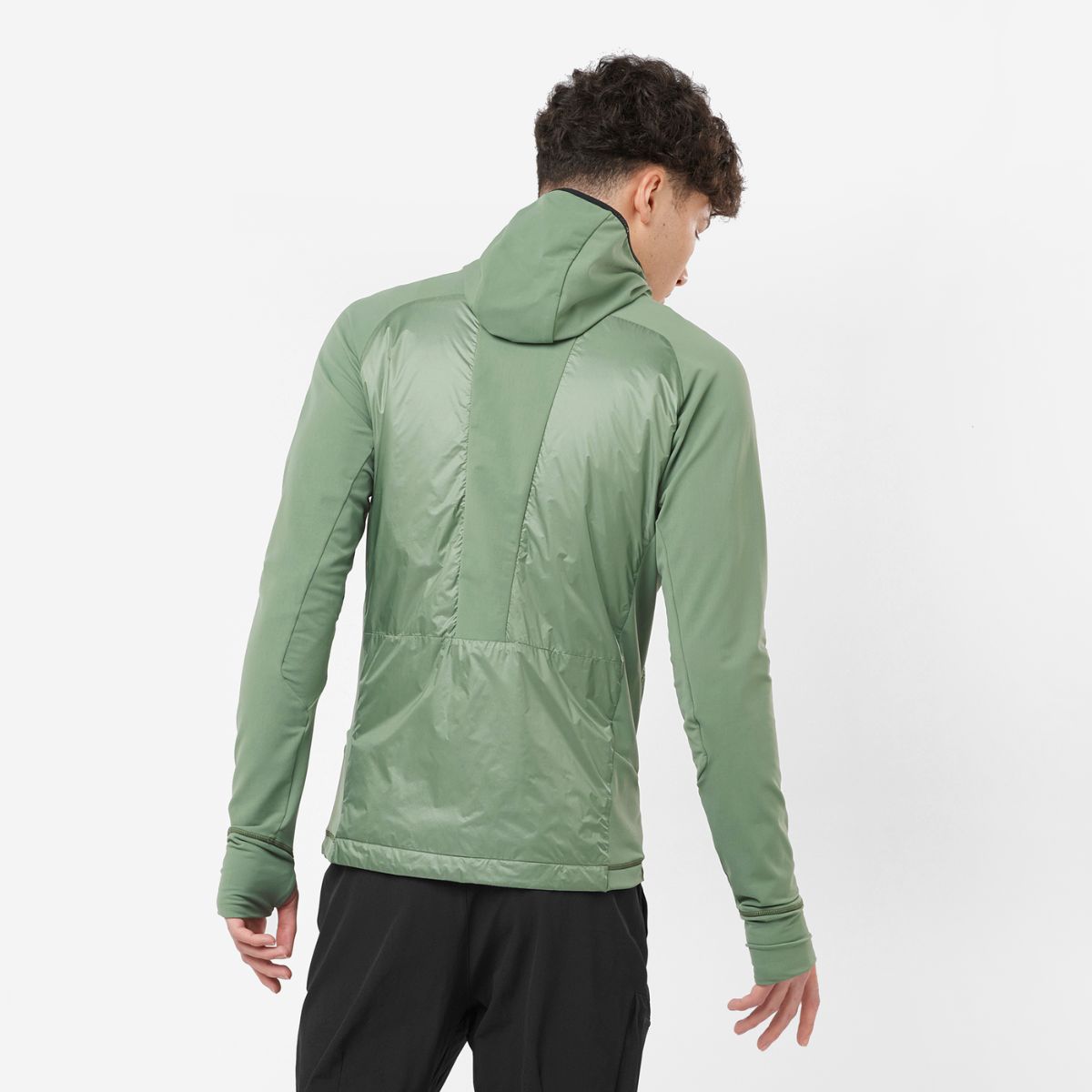 #Color_Verde