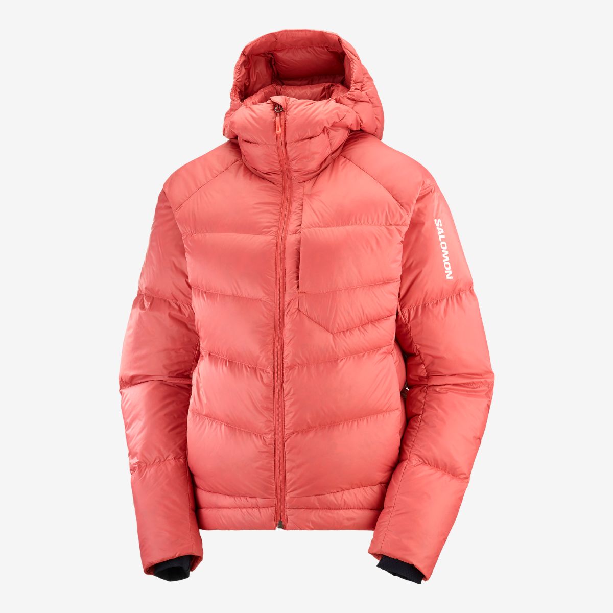 #Color_Coral