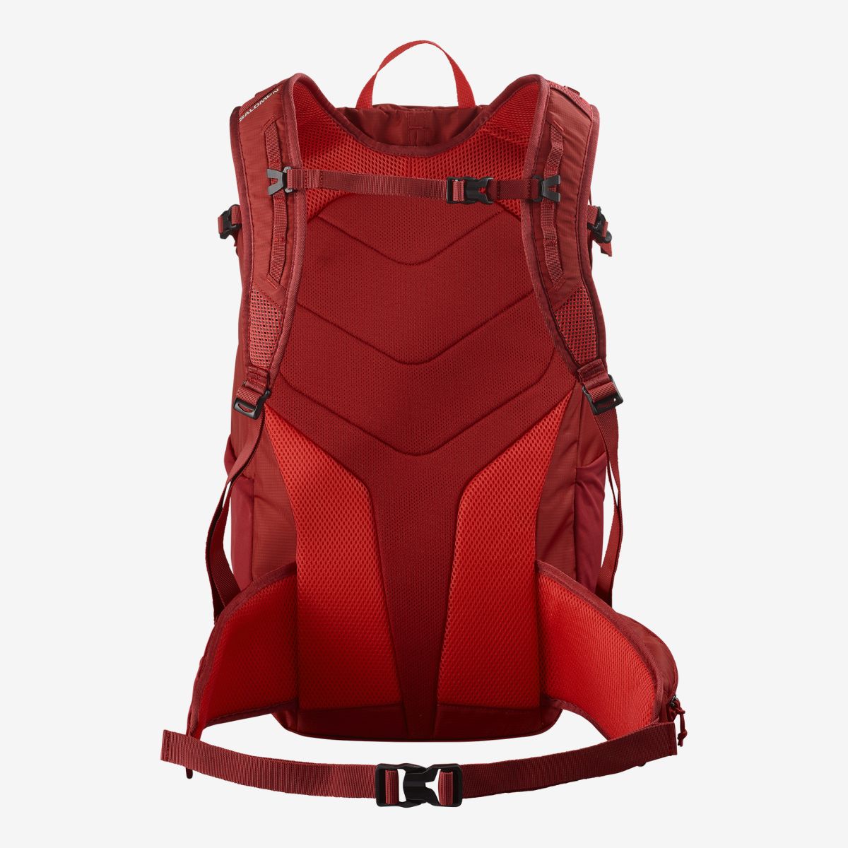 #Color_Rojo