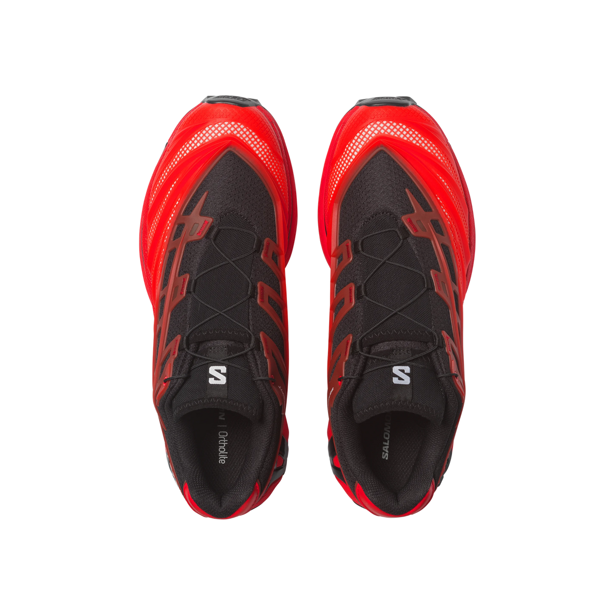 #Color_Rojo
