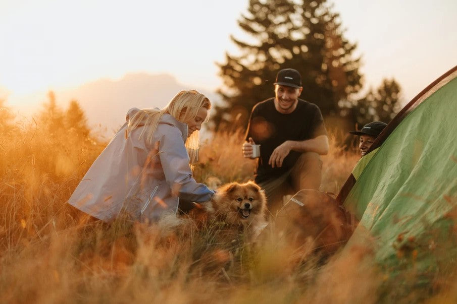 Personas jugando con un perro pequeño al atardecer en un camping, junto a una carpa.