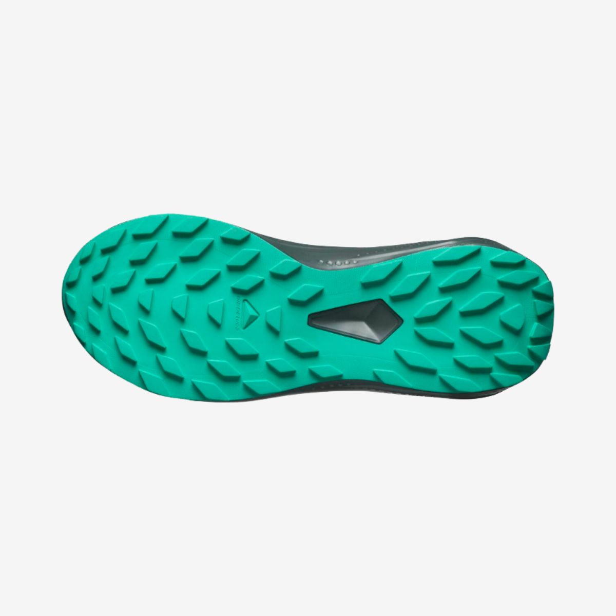 #Color_Negro/Verde