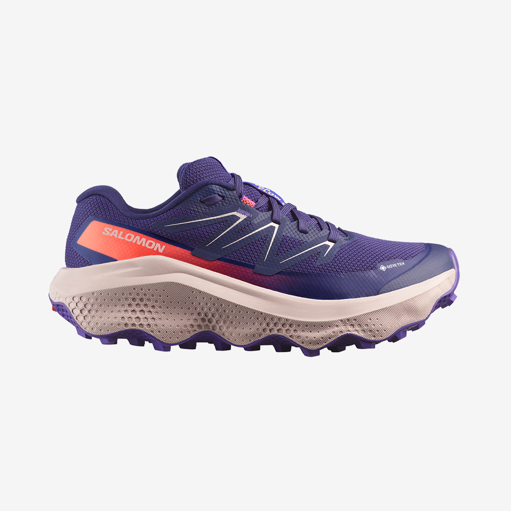 ULTRA FLOW 2 GTX W
